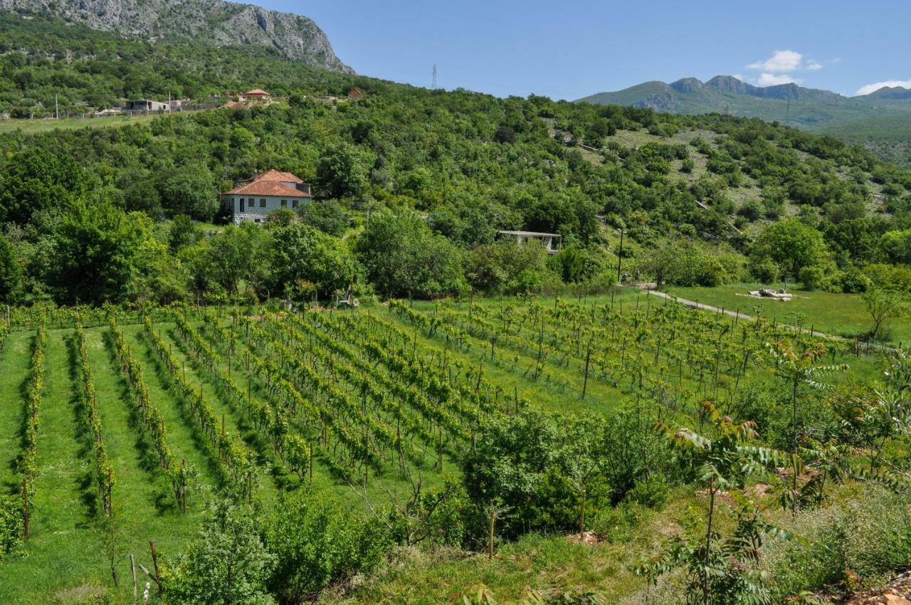 Ferienwohnung Djukic Winery Podgorica Exterior foto